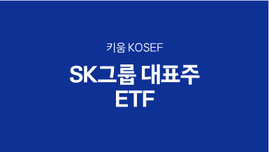 키움 KOSEF SK그룹대표주